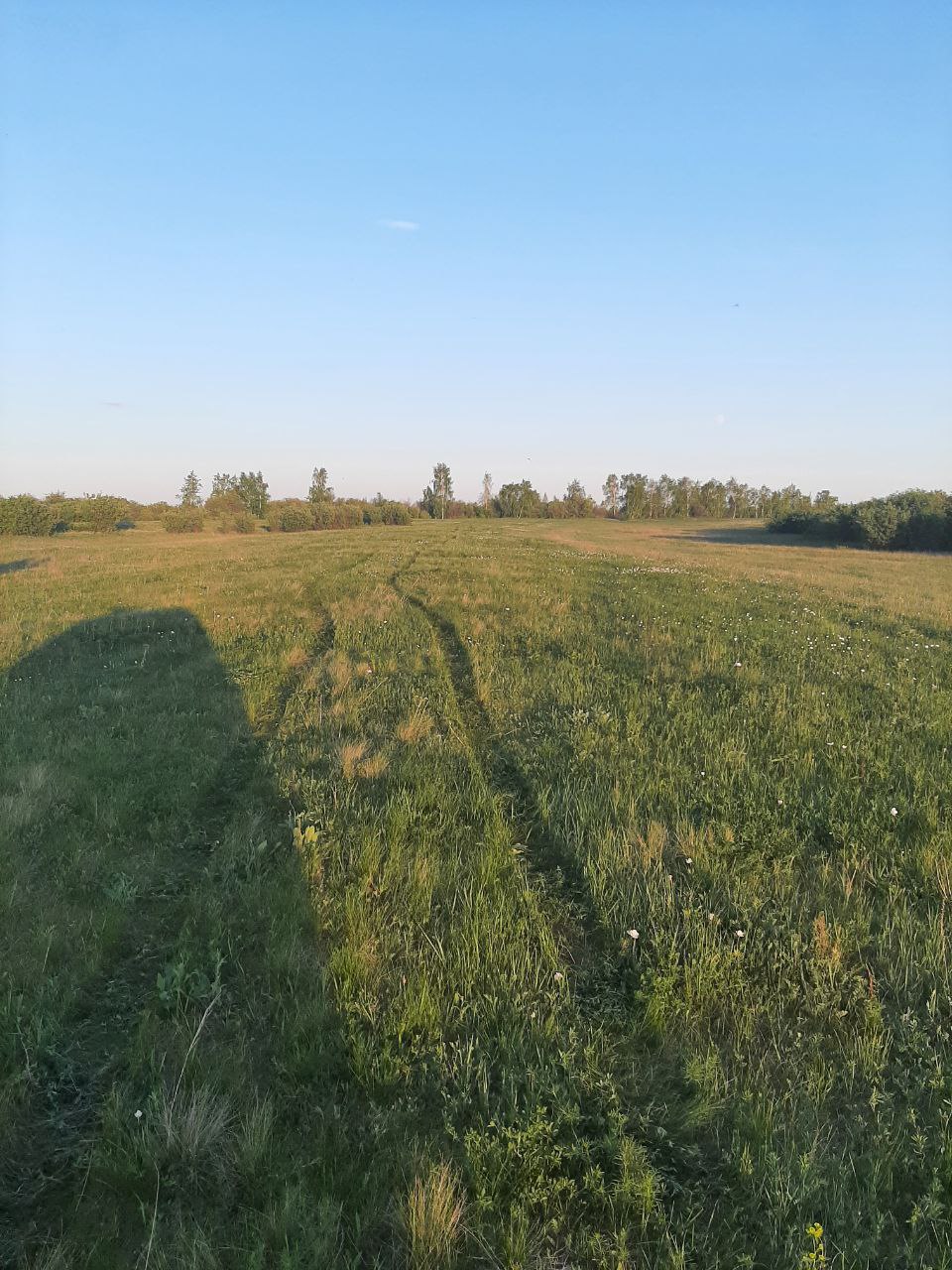 Вид на участок