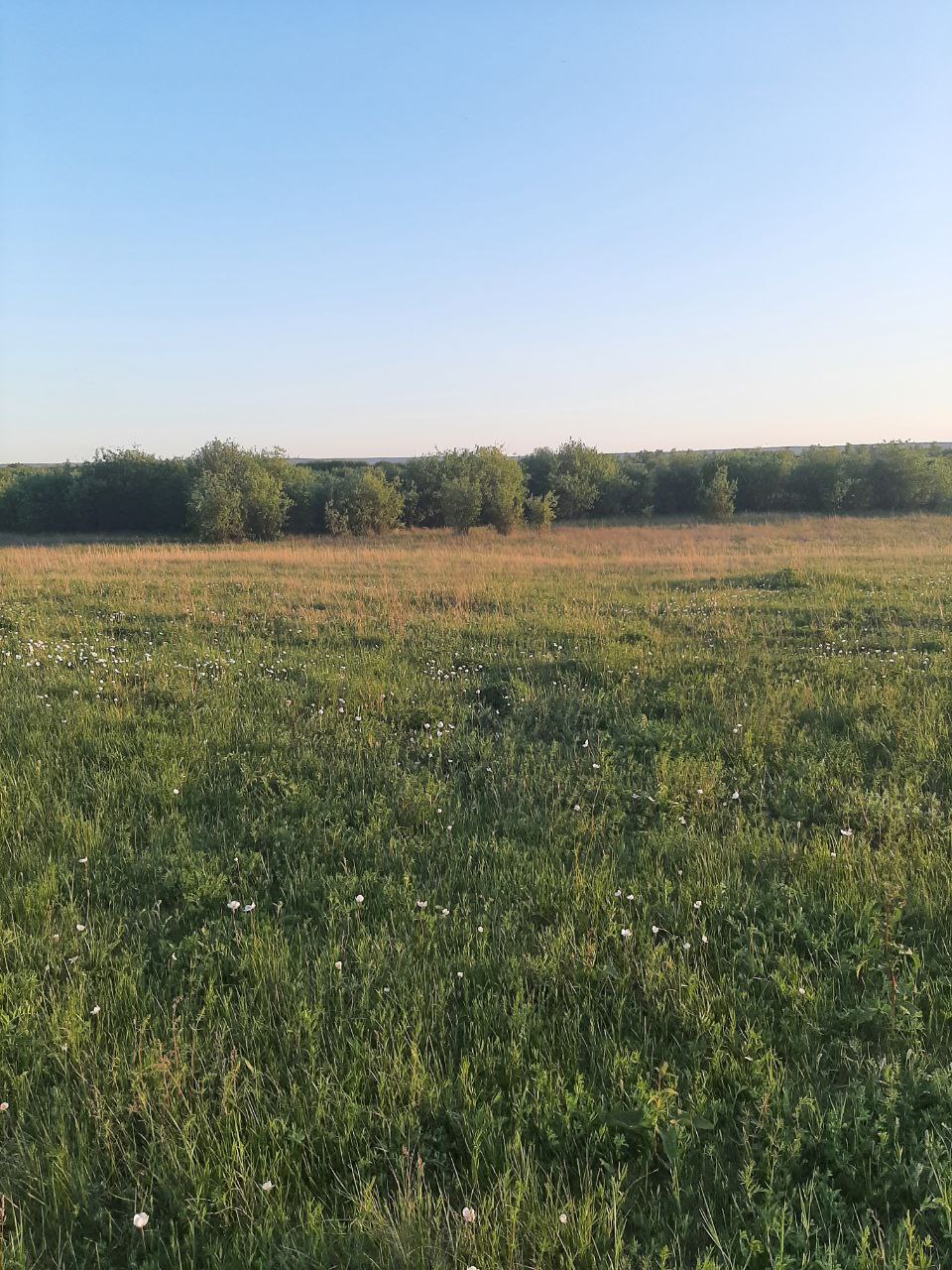 Участок — вид 8